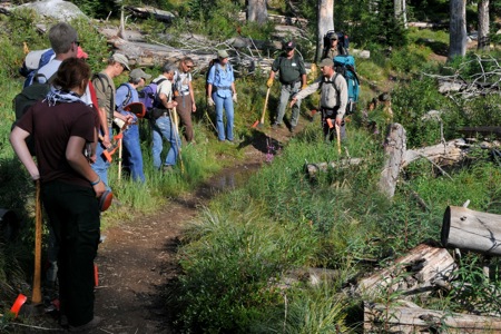 A volunteer crew learns trail work skills