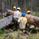 Marble Creek Trail Work Marble Creek Trail Work